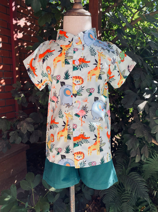 Boys cute short sleeve shirt and shorts