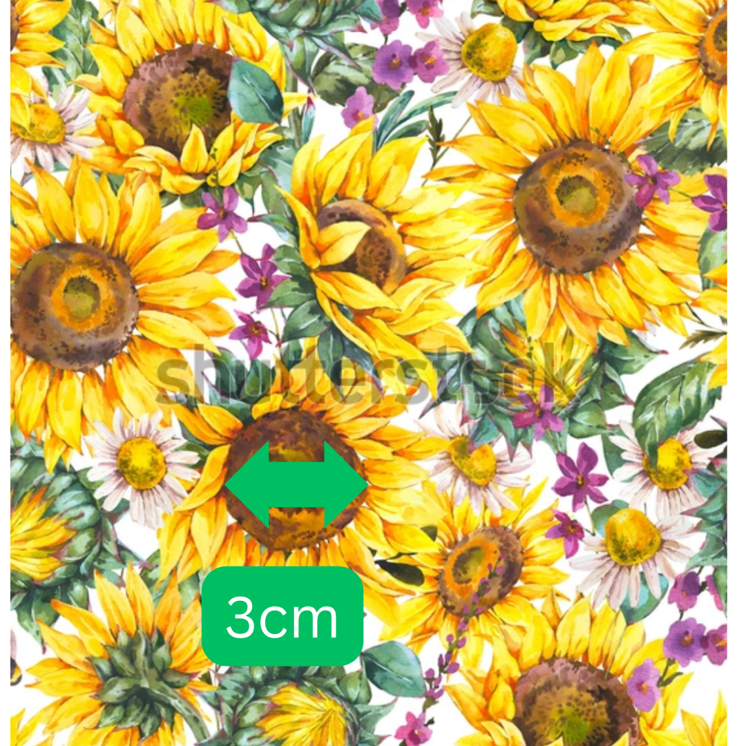 sunflowers